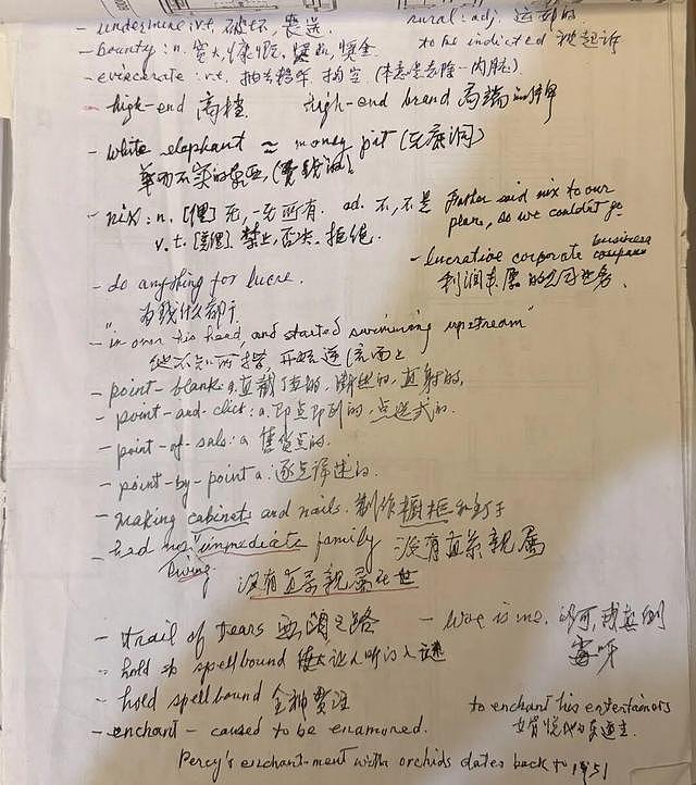 98岁大爷在西湖边与外国人飙英语火了:"抓人"也有经验(组图) - 7