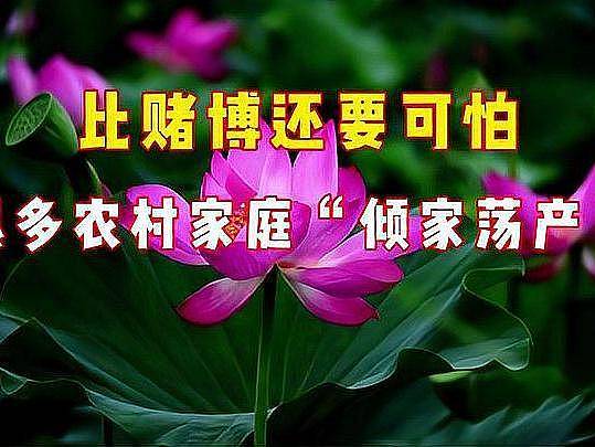 比赌博还可怕的东西，正悄悄毁掉中国无数家庭（组图） - 1