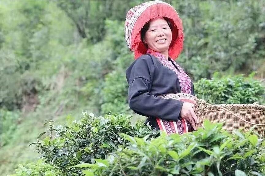 【情感】她是大山的女儿，带领乡亲们致富，丈夫去世前一句话让人泪崩……（组图） - 1
