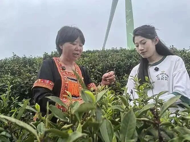 【情感】她是大山的女儿，带领乡亲们致富，丈夫去世前一句话让人泪崩……（组图） - 8