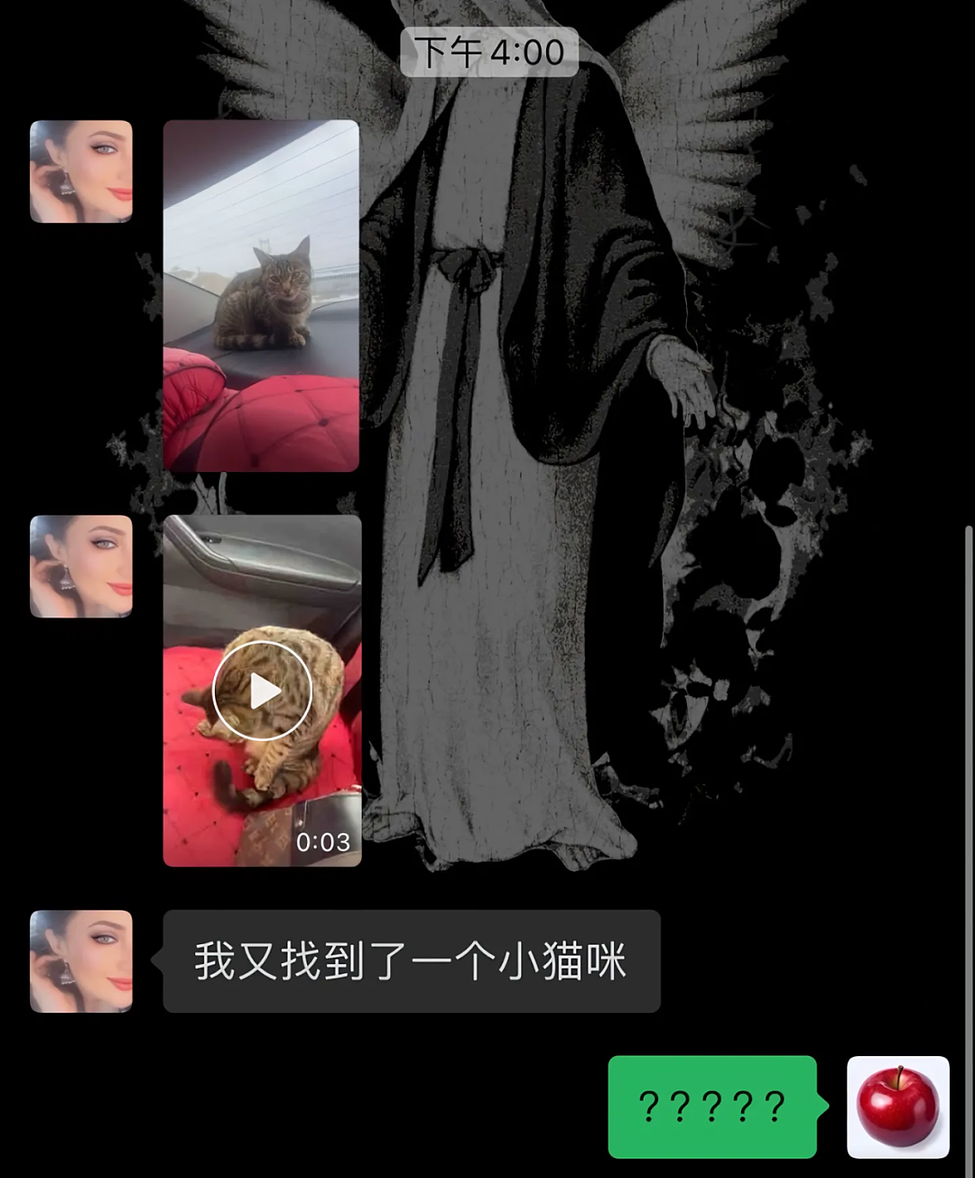 【宠物】妹子说妈妈经常捡小猫，网友还以为是夸张，点进去一看：阿姨每天就是吃饭睡觉捡猫猫吧（组图） - 10