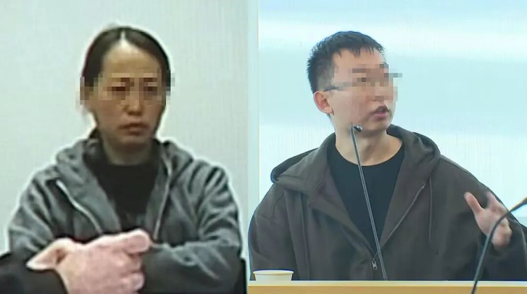 华人母子当场被扣!这几块石头,让新西兰海关把他们告上法庭(组图) - 1