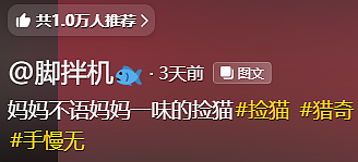 【宠物】妹子说妈妈经常捡小猫，网友还以为是夸张，点进去一看：阿姨每天就是吃饭睡觉捡猫猫吧（组图） - 1