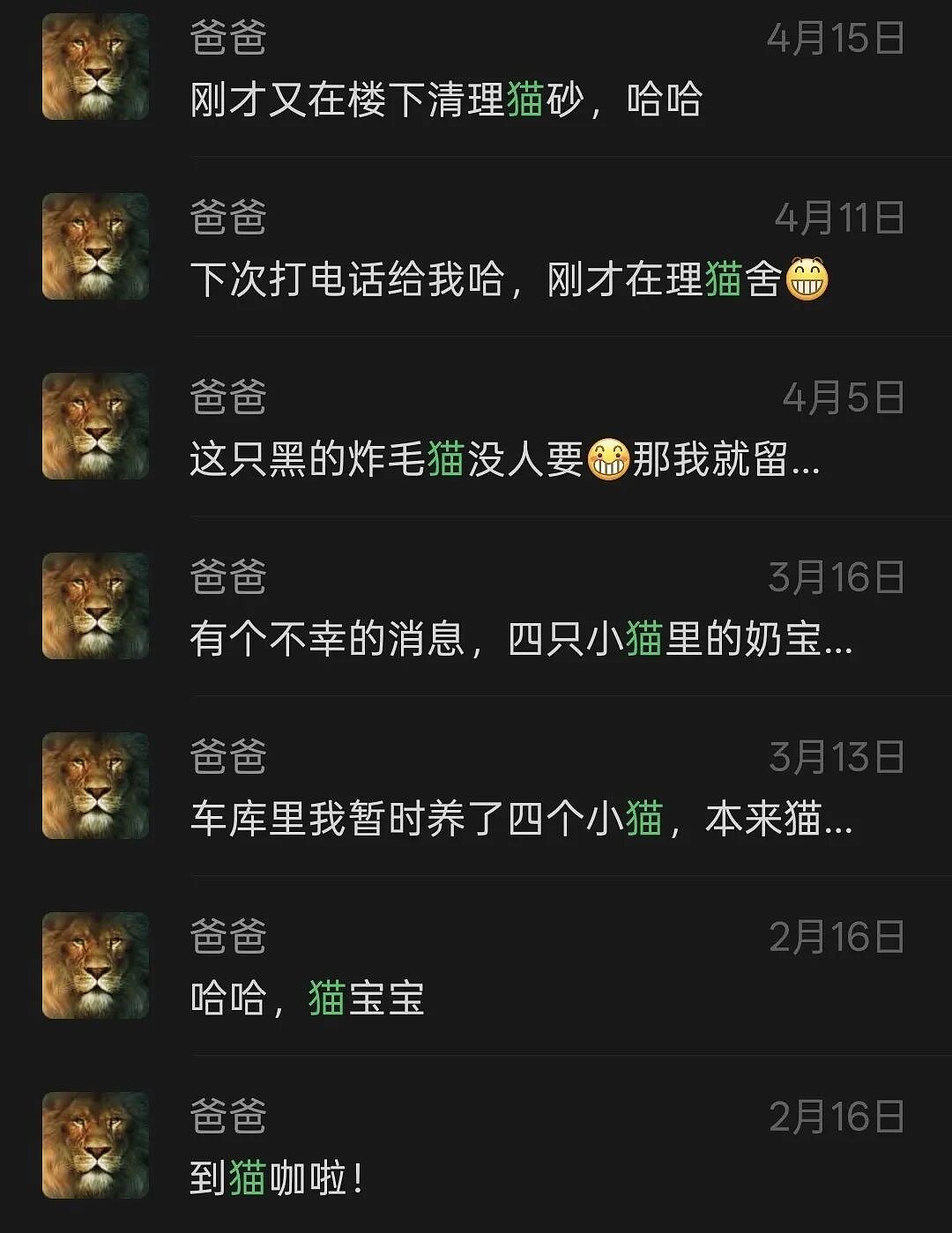 【宠物】妹子说妈妈经常捡小猫，网友还以为是夸张，点进去一看：阿姨每天就是吃饭睡觉捡猫猫吧（组图） - 17