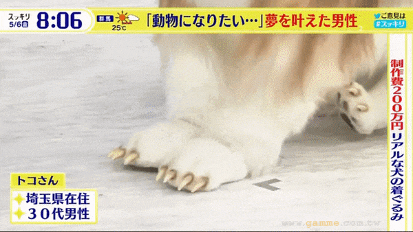 炸裂！日本男子豪掷200万变身巨型牧羊犬，上街找同类社交，结果真狗集体被吓跑！（组图） - 5