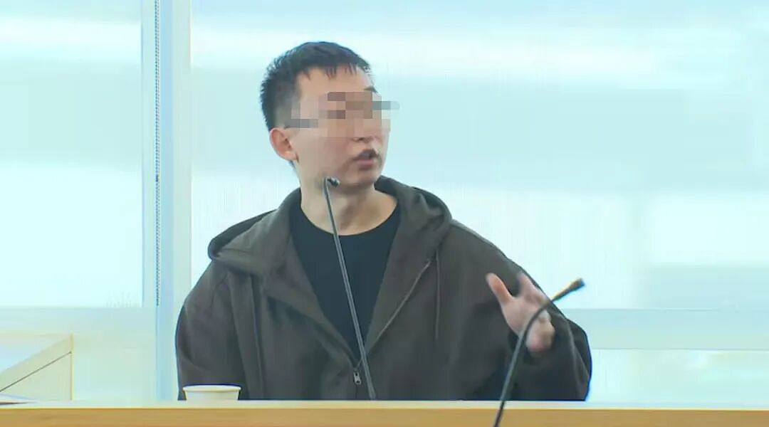 华人母子当场被扣!这几块石头,让新西兰海关把他们告上法庭(组图) - 5