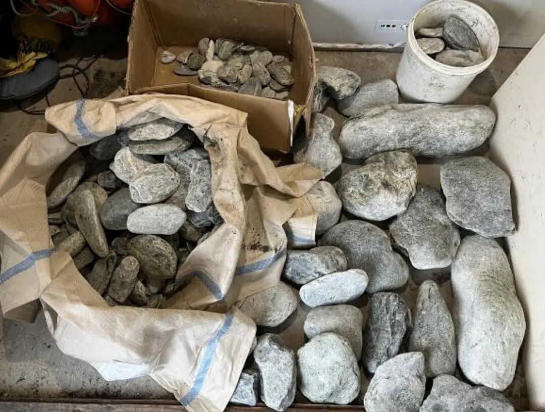 华人母子当场被扣!这几块石头,让新西兰海关把他们告上法庭(组图) - 8