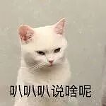 【两性】同房过程中，男人都是怎么解释自己的“快”（组图） - 2