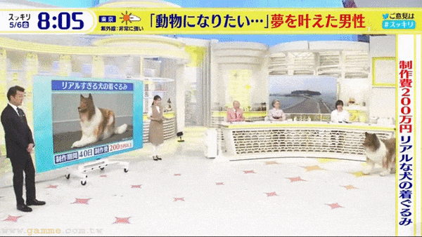 炸裂！日本男子豪掷200万变身巨型牧羊犬，上街找同类社交，结果真狗集体被吓跑！（组图） - 4