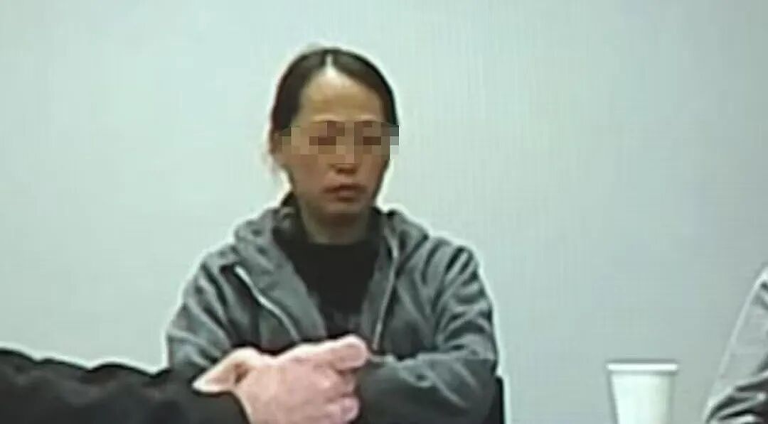 华人母子当场被扣!这几块石头,让新西兰海关把他们告上法庭(组图) - 7