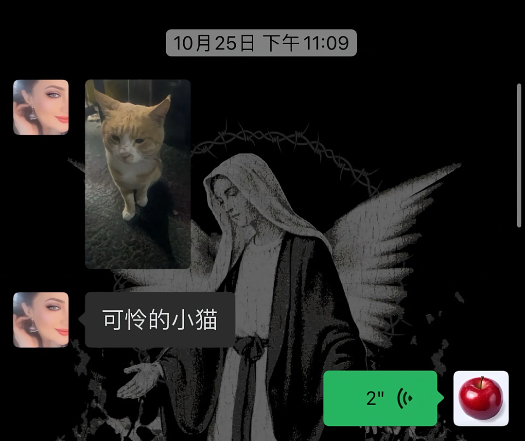 【宠物】妹子说妈妈经常捡小猫，网友还以为是夸张，点进去一看：阿姨每天就是吃饭睡觉捡猫猫吧（组图） - 2