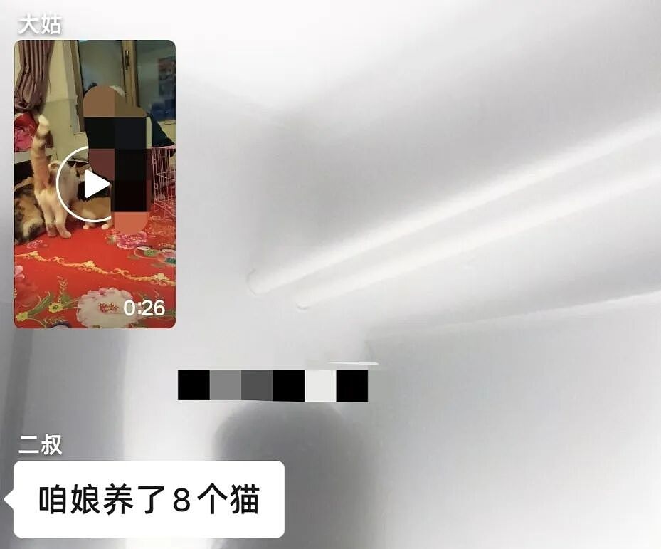 【宠物】妹子说妈妈经常捡小猫，网友还以为是夸张，点进去一看：阿姨每天就是吃饭睡觉捡猫猫吧（组图） - 18