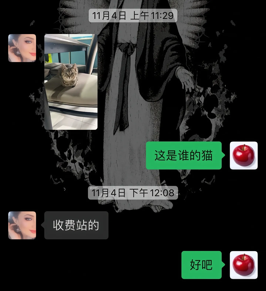 【宠物】妹子说妈妈经常捡小猫，网友还以为是夸张，点进去一看：阿姨每天就是吃饭睡觉捡猫猫吧（组图） - 4