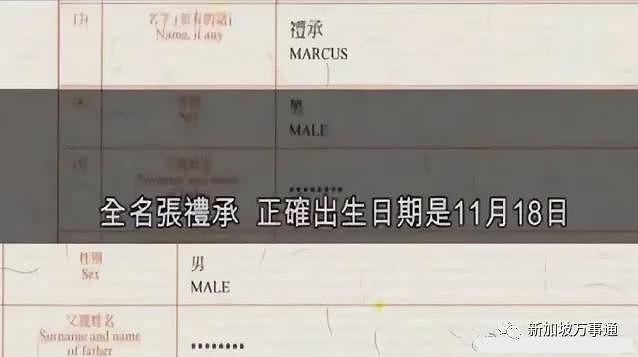 从新加坡富商到谢贤生意伙伴... 张柏芝小儿子正面照疑曝光，生父身份再添猛料？！（组图） - 11