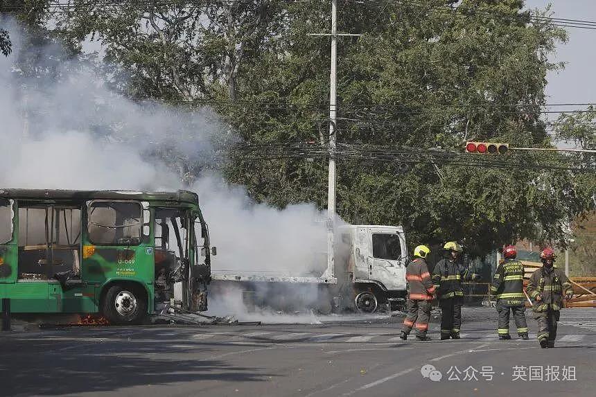 霸王毒枭因情人泄露行踪遭捕杀！女儿旋即上位重建老巢卷土重来（组图） - 11