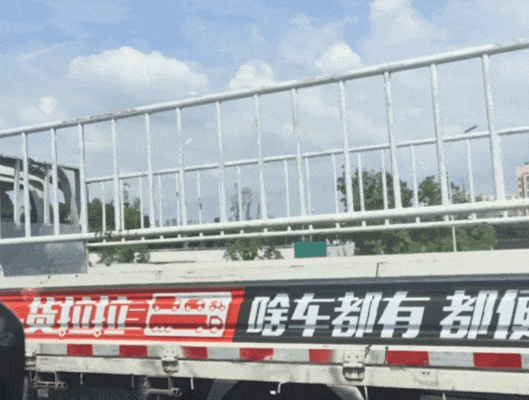【宠物】主人费老牛劲给狗狗拍全家福,虽然过程中情况重重,但成品却令人惊喜(组图) - 8