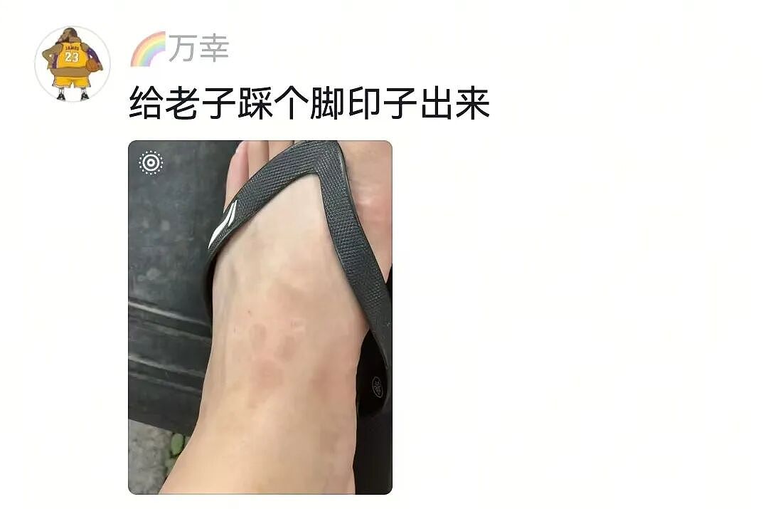 【宠物】主人费老牛劲给狗狗拍全家福,虽然过程中情况重重,但成品却令人惊喜(组图) - 2