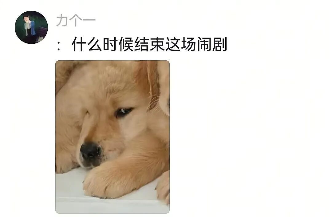 【宠物】主人费老牛劲给狗狗拍全家福,虽然过程中情况重重,但成品却令人惊喜(组图) - 19