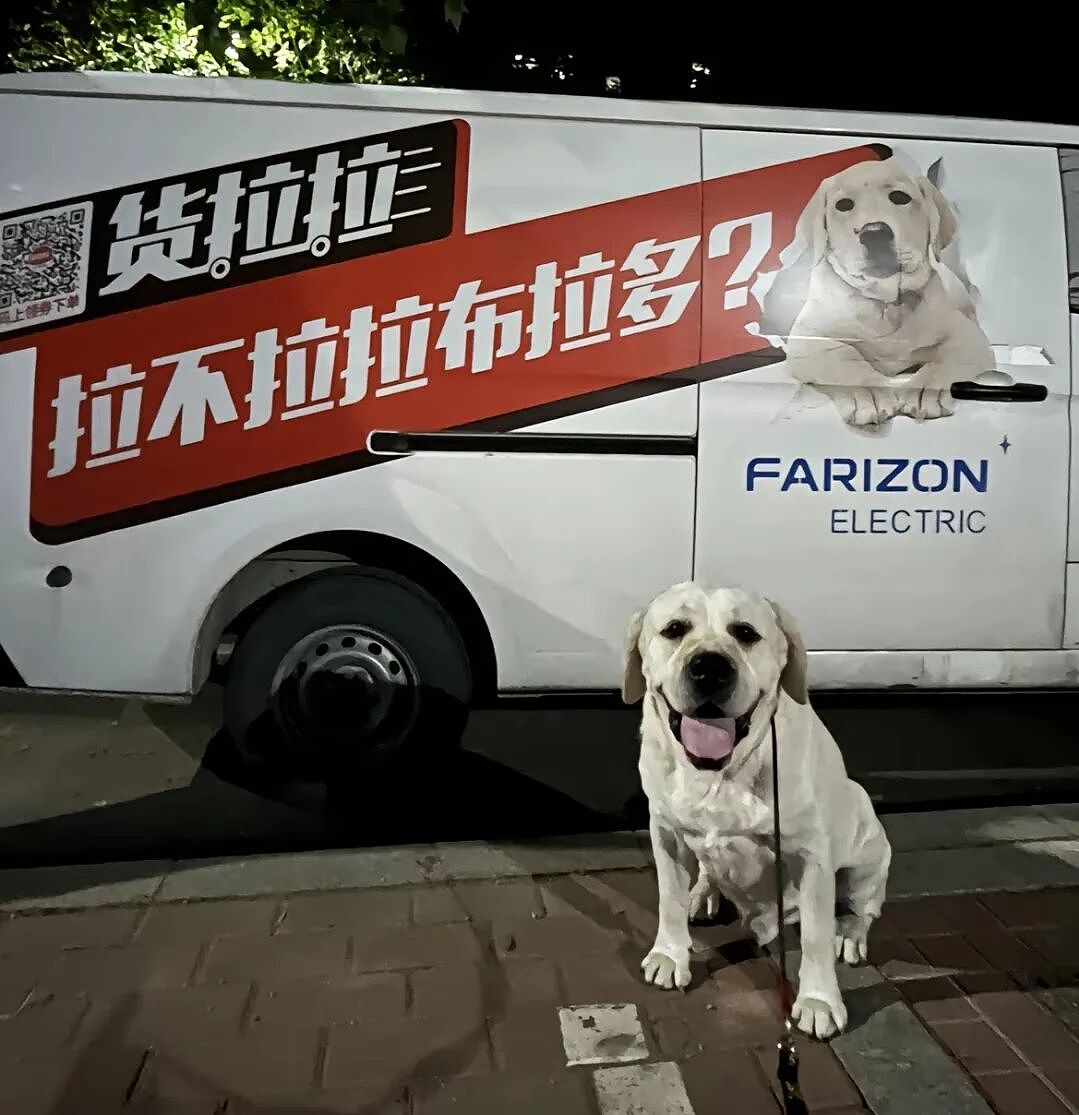 【宠物】主人费老牛劲给狗狗拍全家福,虽然过程中情况重重,但成品却令人惊喜(组图) - 9