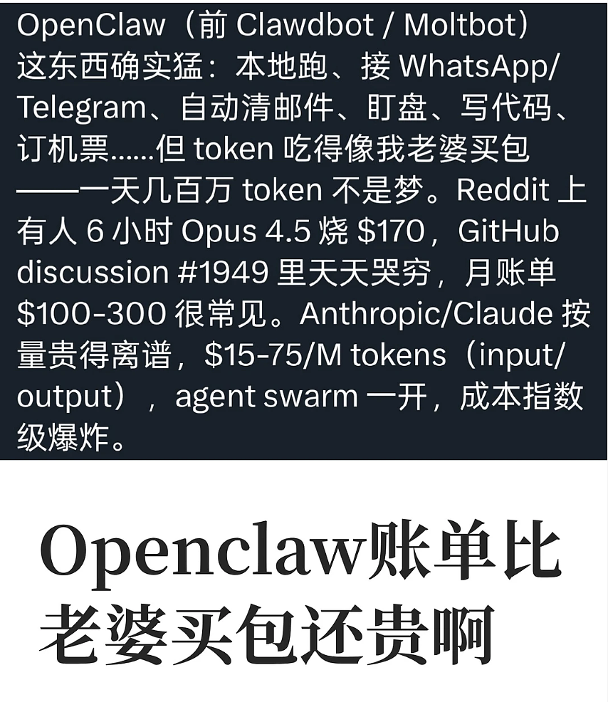 月薪2万，我养不起自己的“AI员工”（组图） - 14