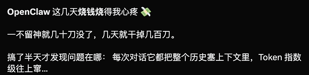月薪2万，我养不起自己的“AI员工”（组图） - 15