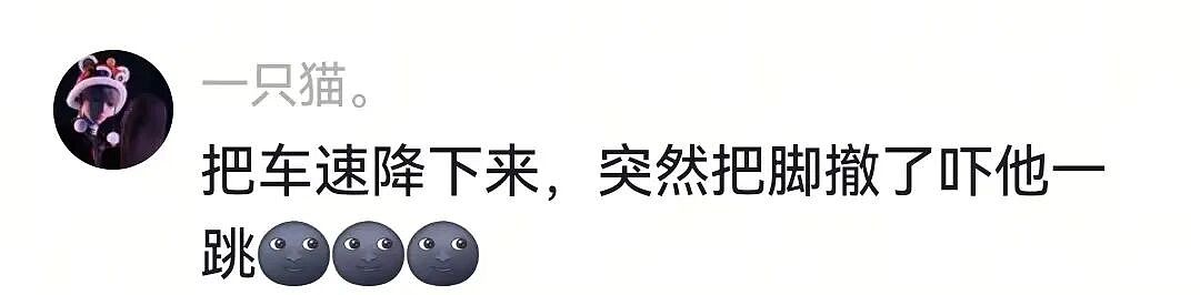 【宠物】主人费老牛劲给狗狗拍全家福,虽然过程中情况重重,但成品却令人惊喜(组图) - 5