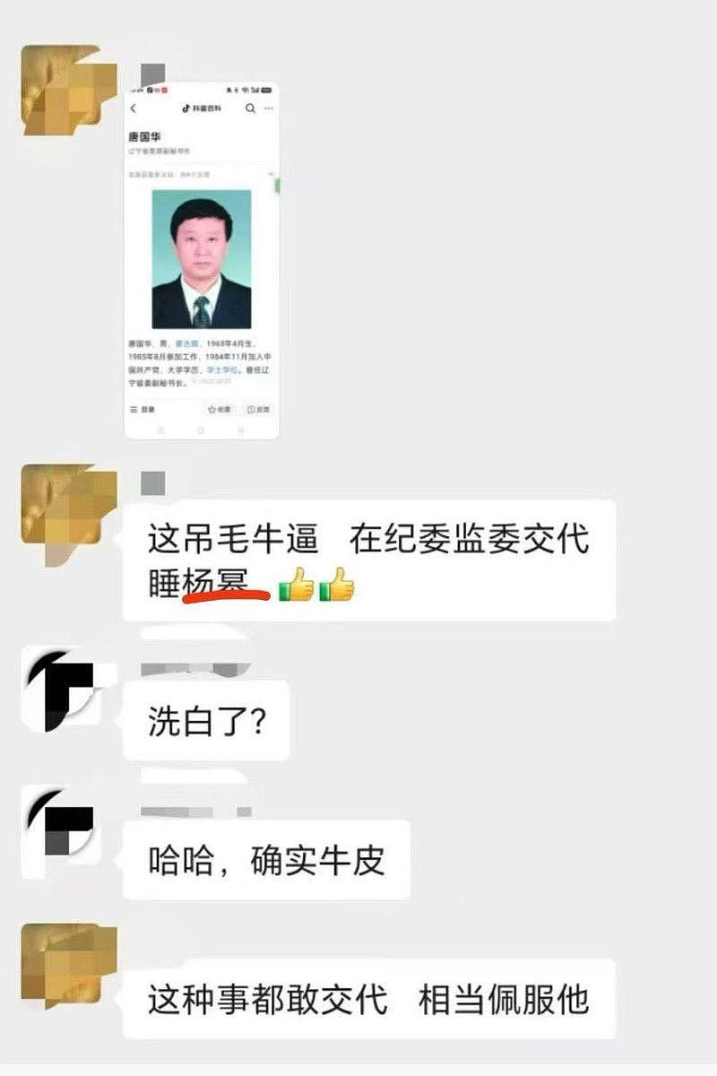 网上疯传！高官落马对纪委招供“睡过杨幂”，网友炸锅了（组图） - 1