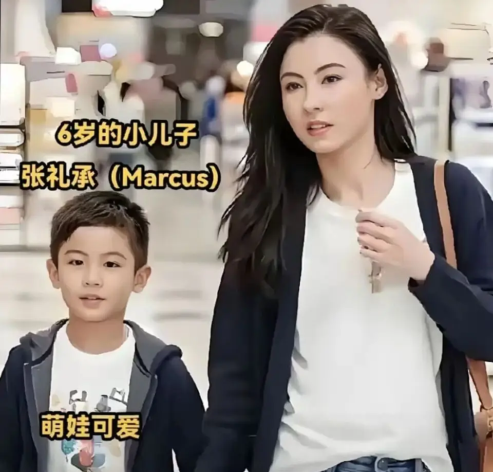 从新加坡富商到谢贤生意伙伴... 张柏芝小儿子正面照疑曝光，生父身份再添猛料？！（组图） - 4