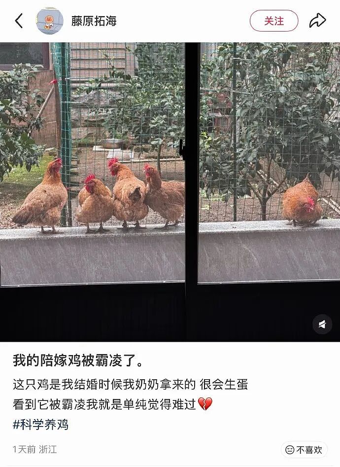 【爆笑】王力宏为什么从来都不唱苦情歌？网友评论亮瞎眼（组图） - 16