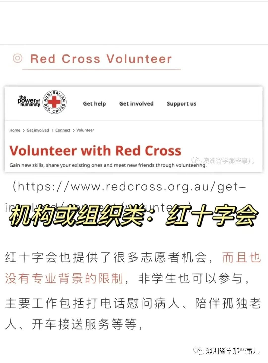 什么？澳洲志愿者还能转正！（内附简历完善小技巧）（组图） - 6