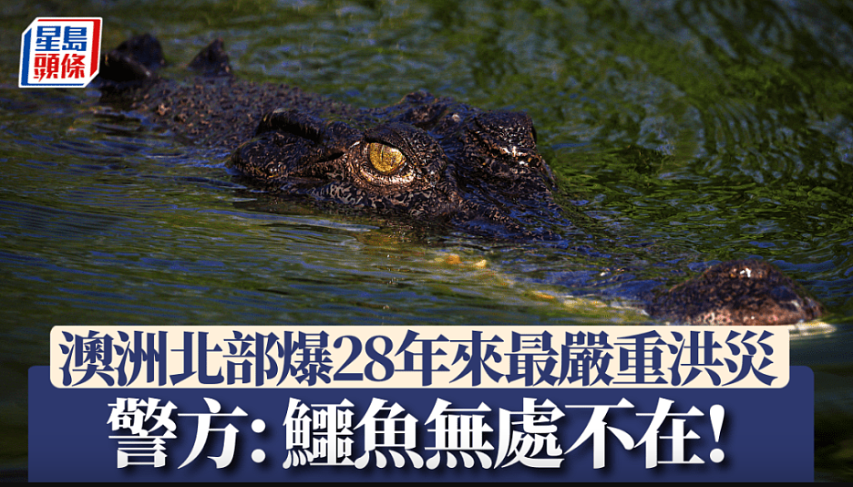澳洲北部爆28年来最严重洪灾!警方警告鳄鱼无处不在(组图) - 1
