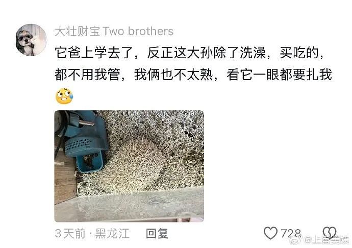 【爆笑】王力宏为什么从来都不唱苦情歌？网友评论亮瞎眼（组图） - 61