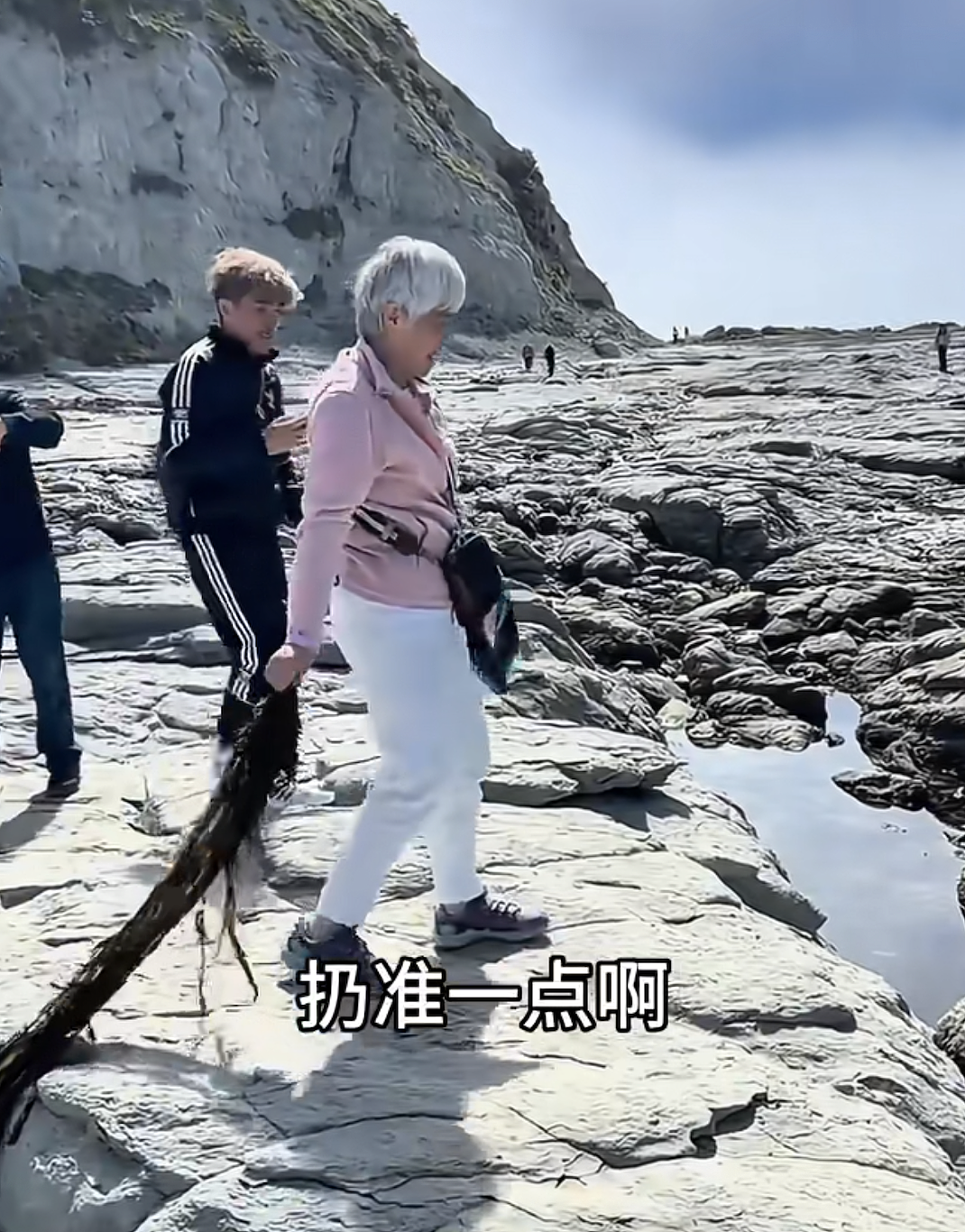 “太丢人了”!华人大妈在新西兰这样骚扰海豹……(组图) - 2