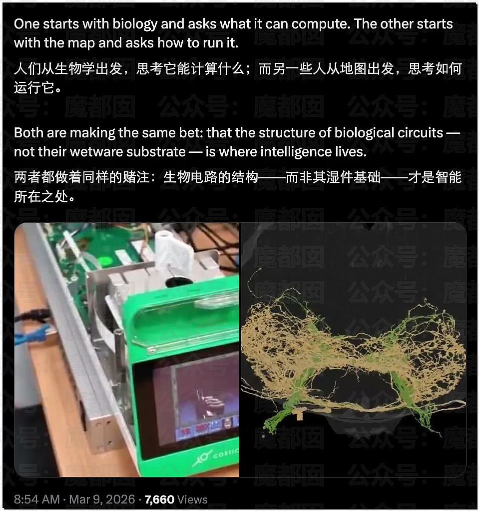 顶流男星张凌赫疑似陷入歧视东南亚风波！紧急道歉！（组图） - 13