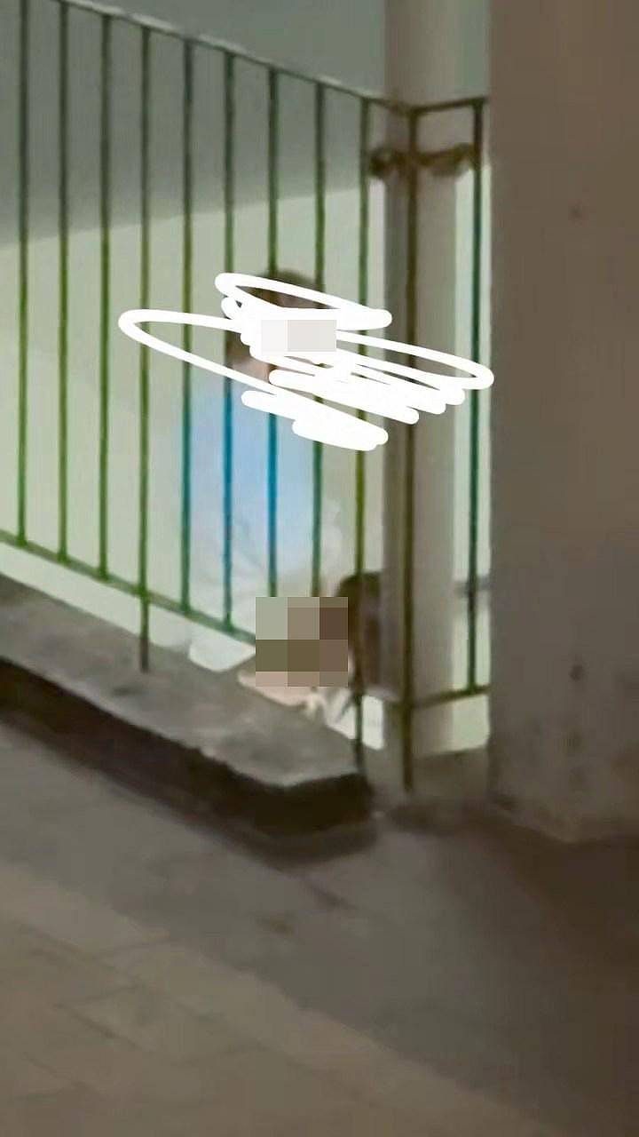 公屋活春宫,男女在楼梯公然口交!女方1动作超狂,目击者爆更震撼内幕(视频/组图) - 6