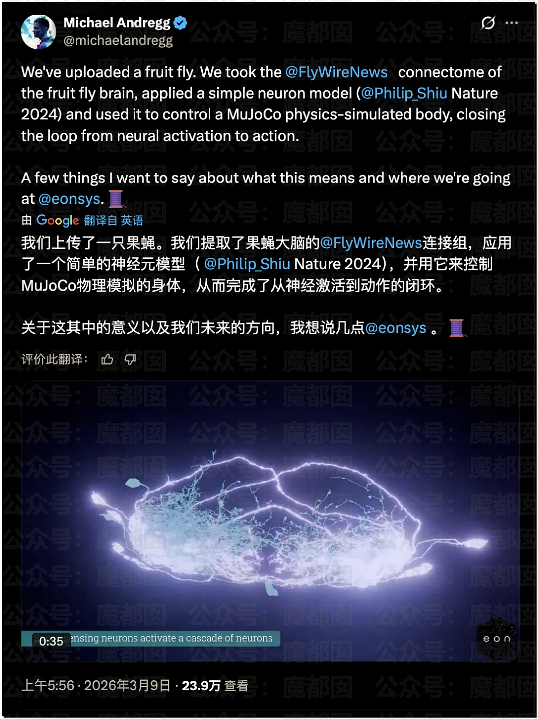 顶流男星张凌赫疑似陷入歧视东南亚风波！紧急道歉！（组图） - 9