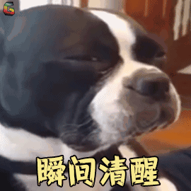 【两性】阴茎和阴蒂难道是神经系统？大脑才是最大的性器官（组图） - 12