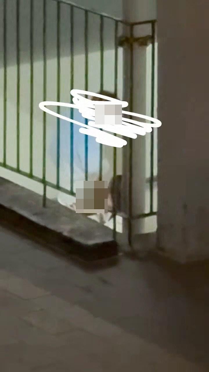 公屋活春宫,男女在楼梯公然口交!女方1动作超狂,目击者爆更震撼内幕(视频/组图) - 3