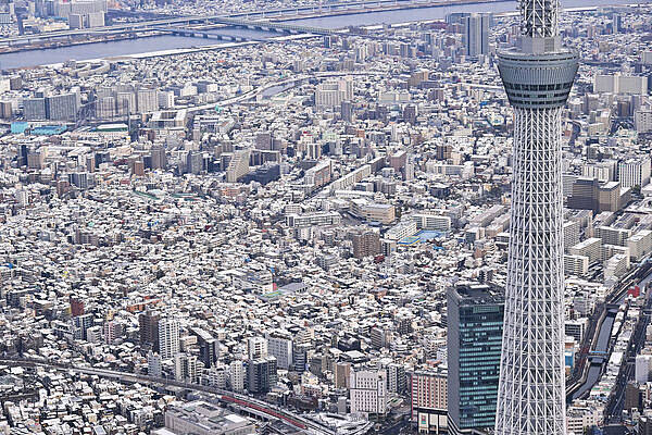 52条“中日航线”自2月起,全航班取消!2514次赴日航班停飞(组图) - 1