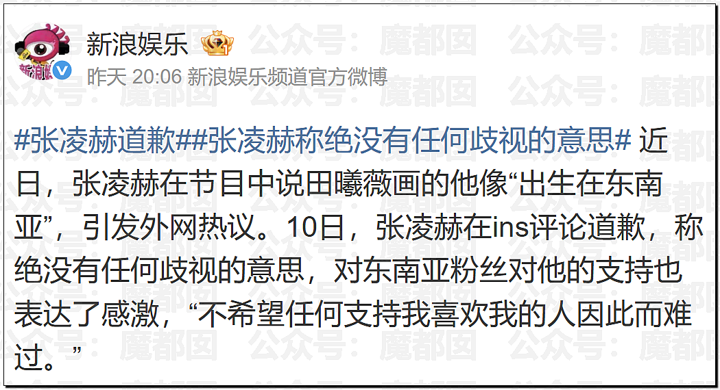 顶流男星张凌赫疑似陷入歧视东南亚风波！紧急道歉！（组图） - 41