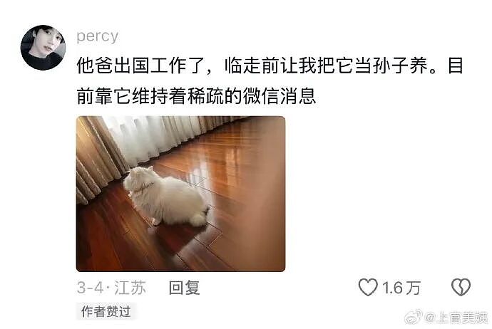 【爆笑】王力宏为什么从来都不唱苦情歌？网友评论亮瞎眼（组图） - 58