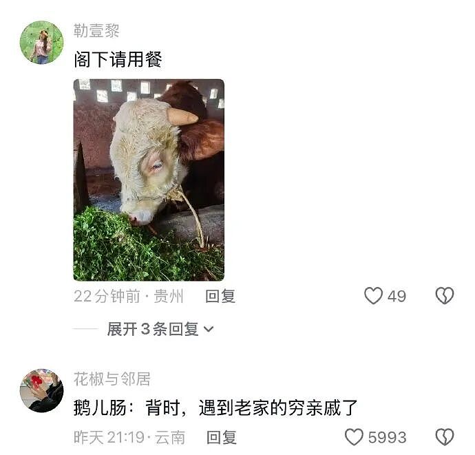 【爆笑】王力宏为什么从来都不唱苦情歌？网友评论亮瞎眼（组图） - 104