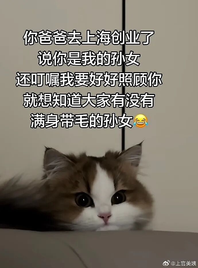 【爆笑】王力宏为什么从来都不唱苦情歌？网友评论亮瞎眼（组图） - 55