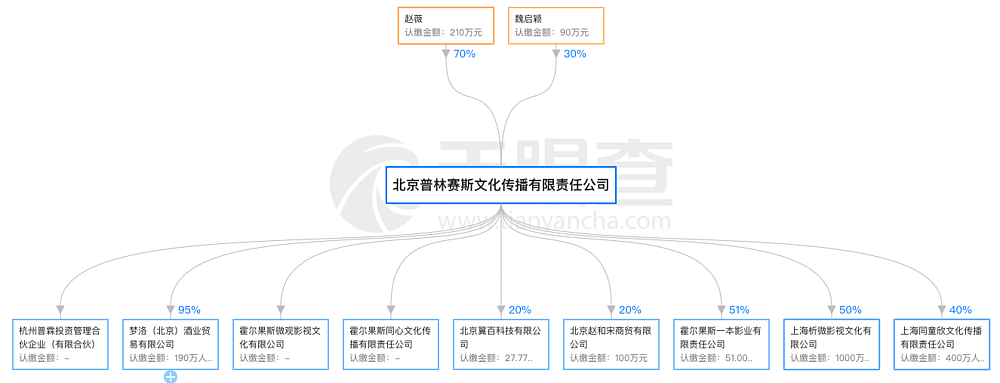 赵薇900万股权再遭冻结，陷入财务黑洞：18亿担保、400场官司，连8000块都还不起（组图） - 6