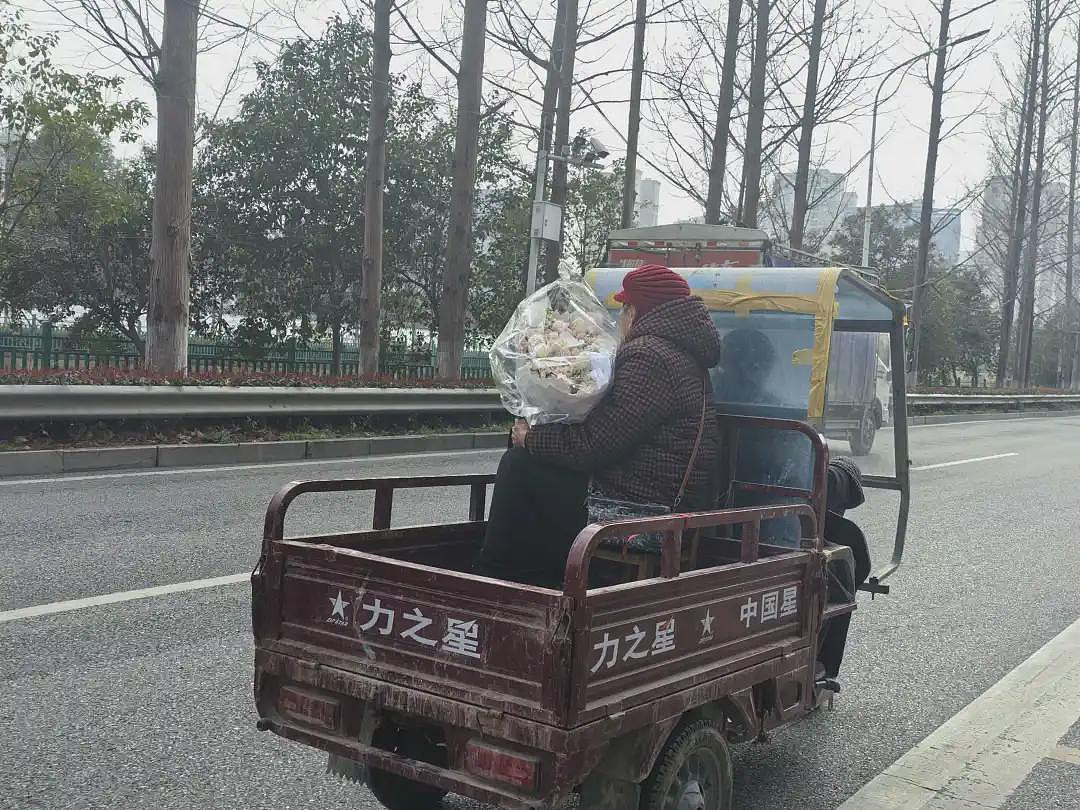 【情感】超羡慕!81岁爷爷开三轮车载着手捧鲜花的83岁奶奶兜风:现在才敢说爱(组图) - 14