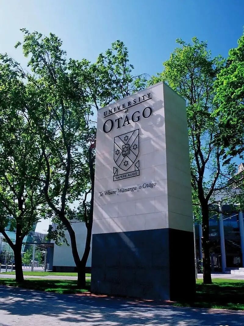【成功案例】新西兰奥塔哥大学：1年制商业分析硕士Offer带1万刀奖学金及课程介绍（组图） - 4