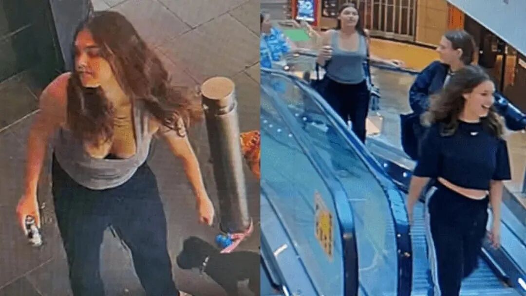 全城关注！墨尔本华人心爱之物被偷，火速破案，两女被抓（组图） - 1
