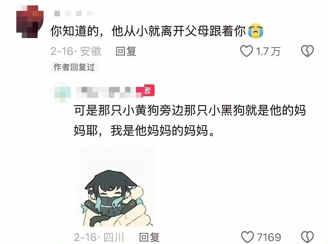 【爆笑】妇女节给女朋友转了38她生气了…?啊啊啊这号算是被你起明白了(组图) - 34