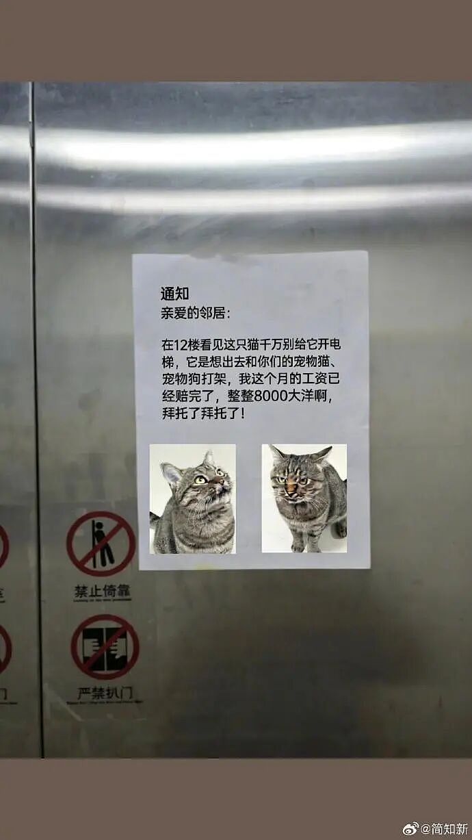 【爆笑】巴黎世家售价1.1万的新款鞋子也太炸裂了吧？网友笑疯：穿街上怕被当成神经病（视频/组图） - 23