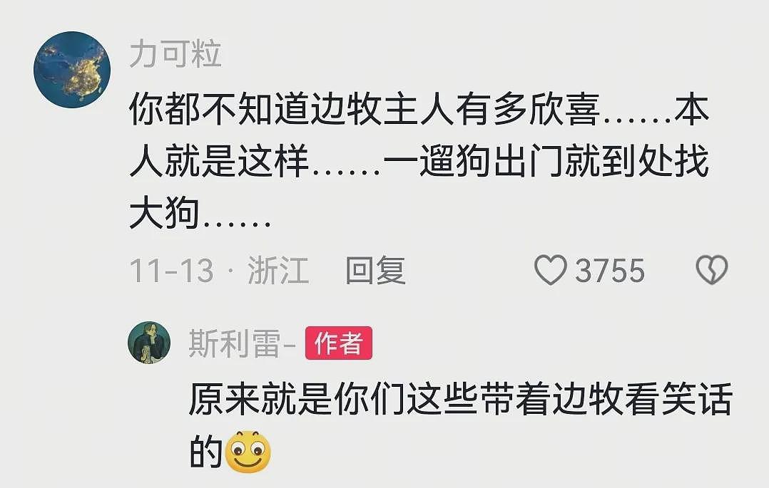 【宠物】网友家的狗凌晨3点去欺负别人家边牧，没想到被边牧反制，评论区：冤冤相报何时了（组图） - 17